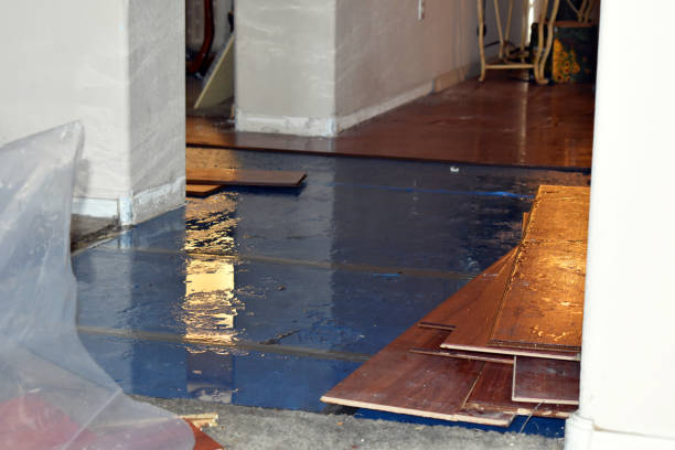 Professional Flood Cleanup technician working in West Hills, NY